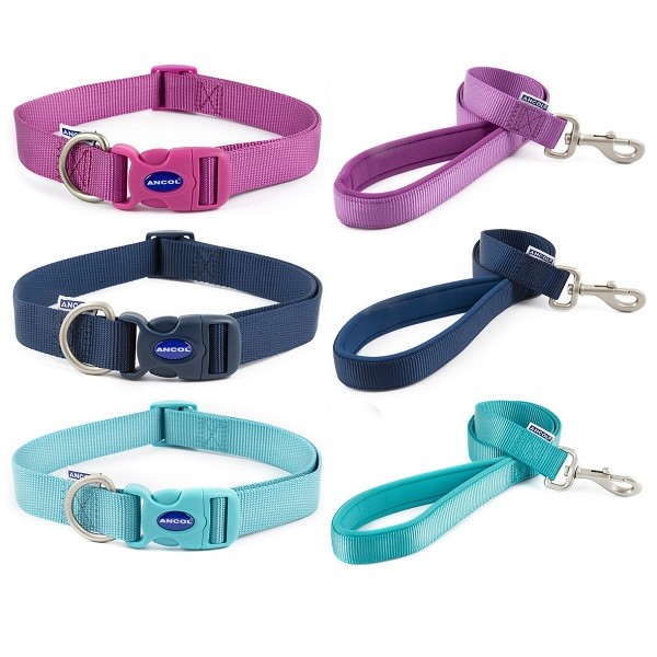 ancol puppy collar